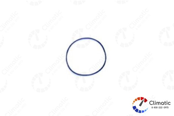 Кольцо уплотнительное теплообменника 107,54*3,53  HYDRONIC 10, шт