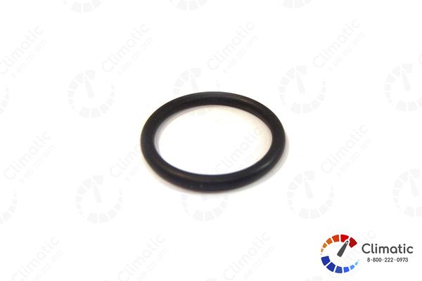 Уплотнительное кольцо жидкостного насоса 19,8х2,3 мм D10 HYD, шт