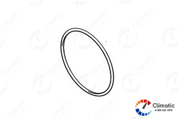 Кольцо уплотнительное теплообменника 74,0 x 3,0 HYDRONIC 4-5, шт