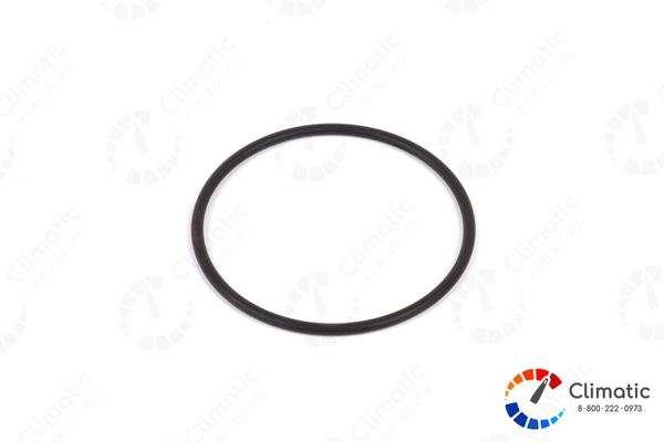 Уплотнительное кольцо из резины Hydronic L 35