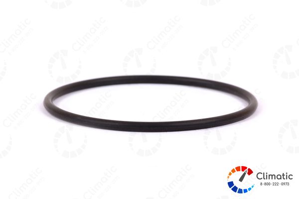 Уплотнительное кольцо из резины Hydronic L 35